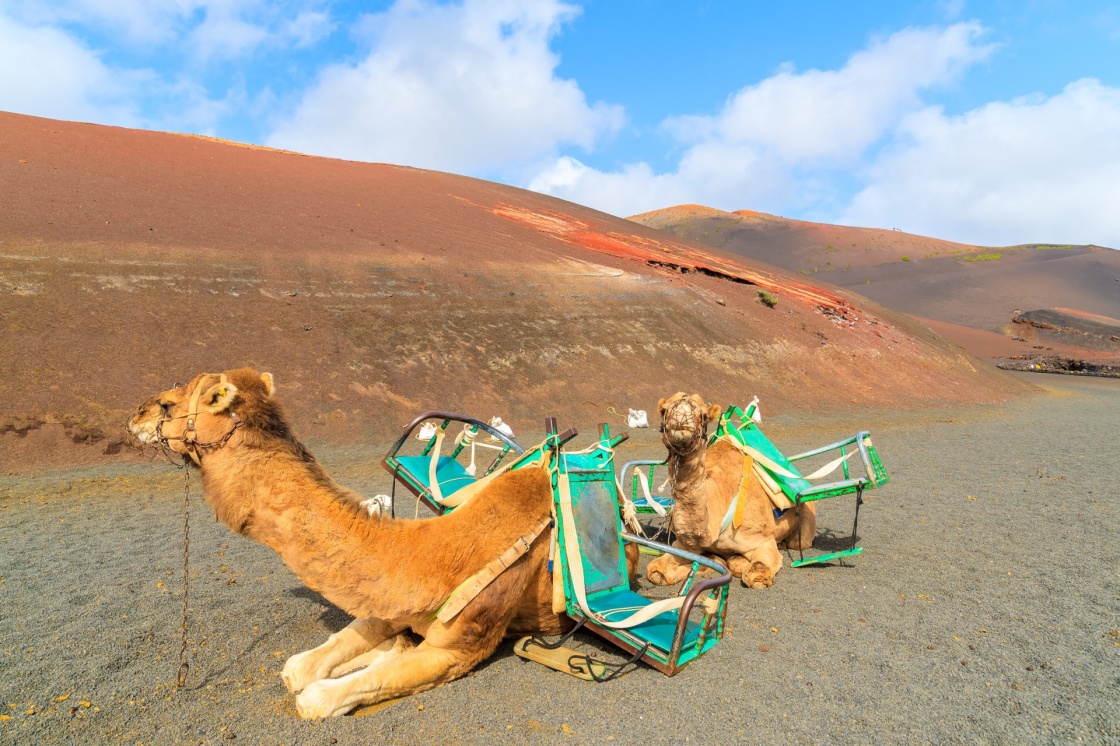 The Best Things to See in Lanzarote